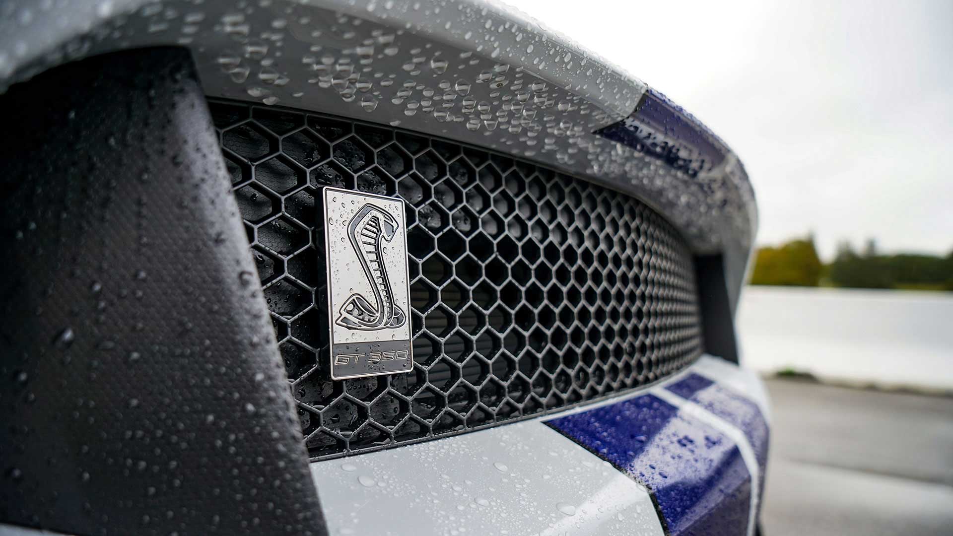 limerockmustang_ss_2.jpg