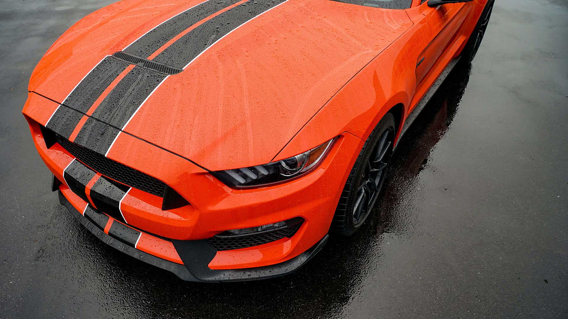 limerockmustang_ss_4.jpg