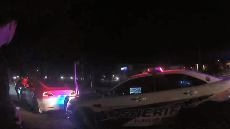 Teens in Rented Tesla Model 3 Crash Into Cop Car, Try Blaming It on Autopilot